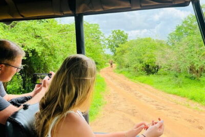 Yala Best Extended Half Day Safari By Ceylon Leopard Safari - Pickup and private jeep time: what you really gain