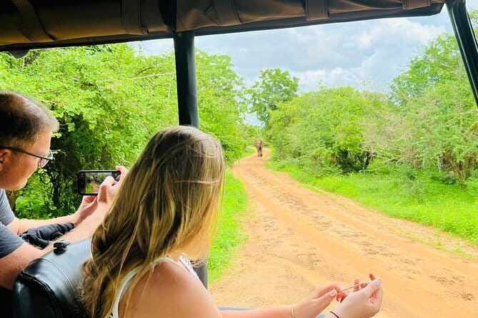 Yala Best Extended Half Day Safari By Ceylon Leopard Safari - Pickup and private jeep time: what you really gain