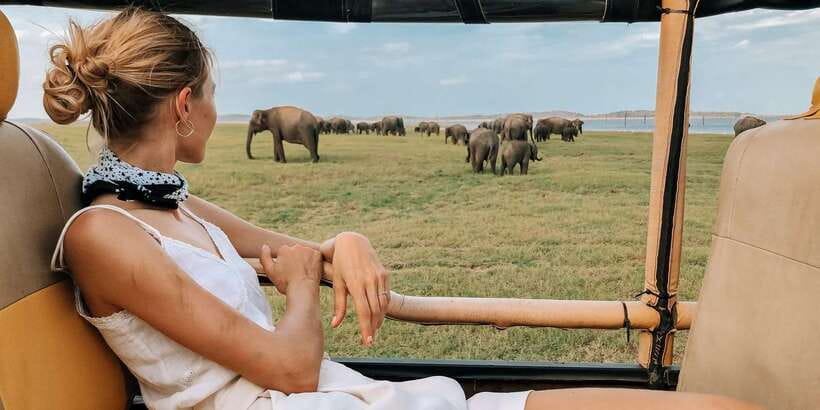 Yala Block 5: Private Morning or Evening Safari - Key Takeaways Before You Go