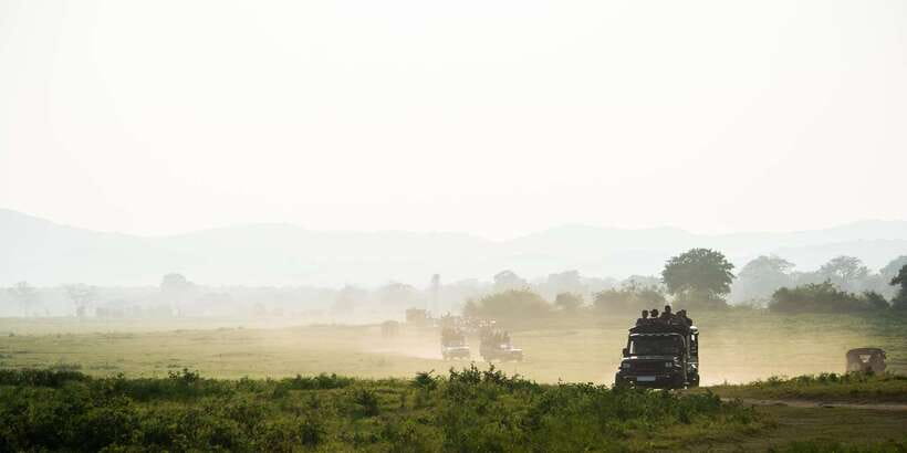 Yala Block 5: Private Morning or Evening Safari - Should You Book This Yala Block 5 Safari?