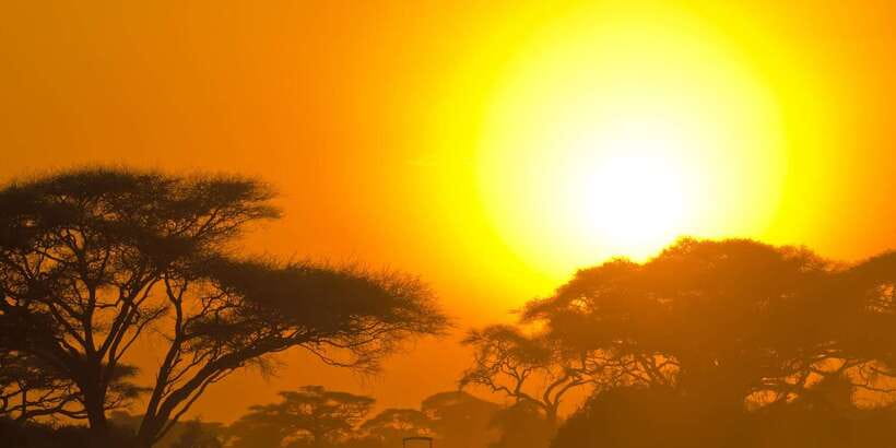 Yala Block 5: Private Morning or Evening Safari - Why Block 5 Feels Less Like a Zoo and More Like Real Safari Time