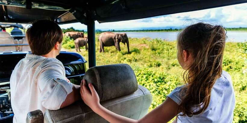 Yala Block 5: Private Morning or Evening Safari - What Happens During the Safari: Your 4-Hour Flow Inside Yala