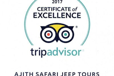 Yala Camping by Ajith Safari All Inclusive - Two Game Drives in Yala: Day Safari Plus Dawn Safari