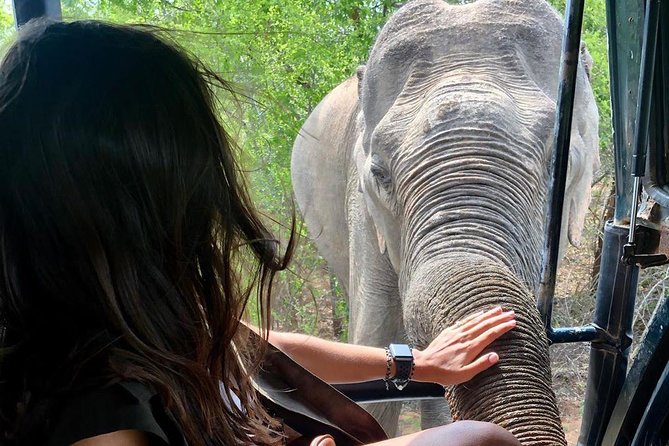 Yala half day safari - Why Yala is a top Sri Lanka safari choice