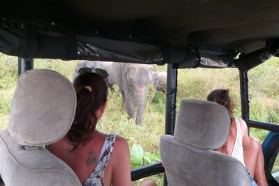 Yala half day safari - How the half-day timing works in real life