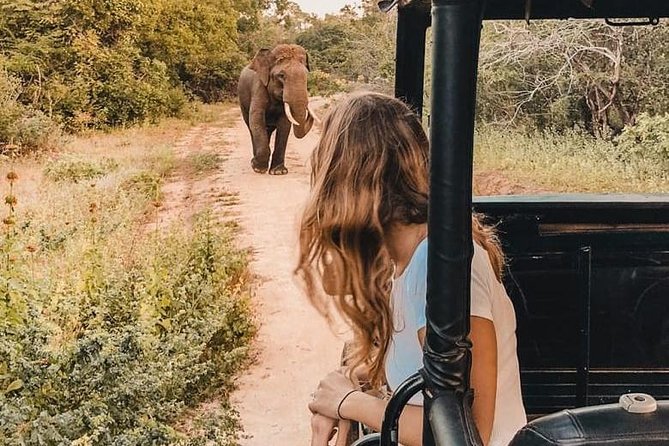 Yala half day safari - Breakfast stop: simple, but plan around it