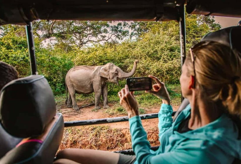 Yala Jeep Safari Tours – Including Entrance Tickets - Key Highlights at a Glance
