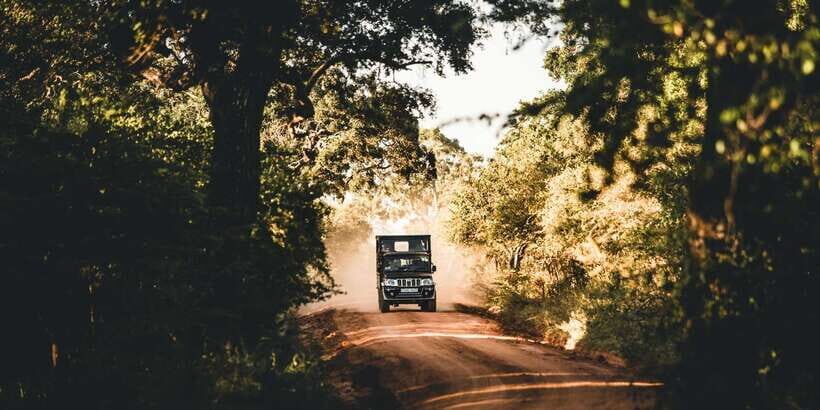 Yala: Morning or Afternoon All-inclusive Private Safari - The custom jeep and the rhythm of your game drive