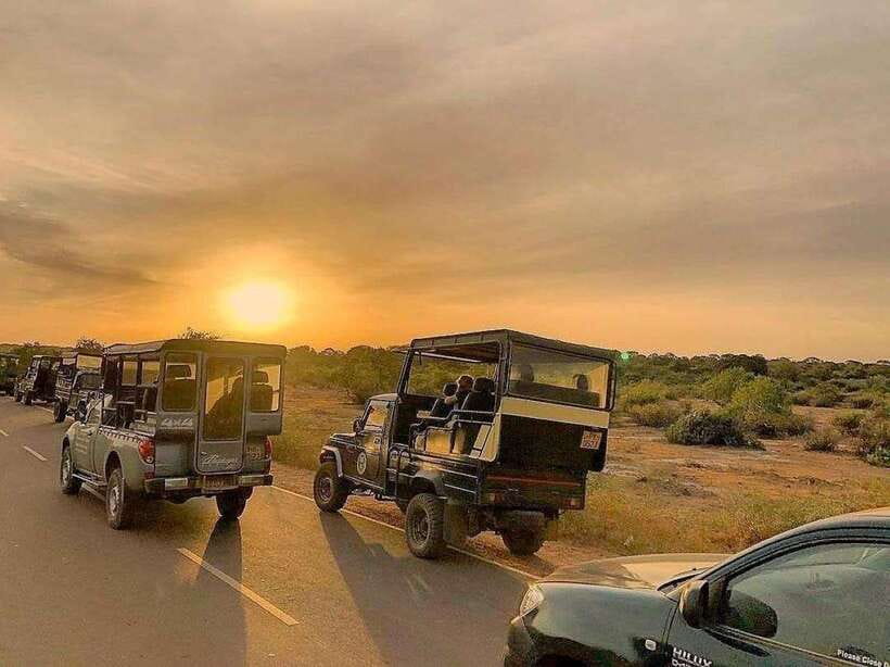 Yala National Park: 7 hour & 12 hour Leopard Safari Tours - Camera and spotting tips that will genuinely help