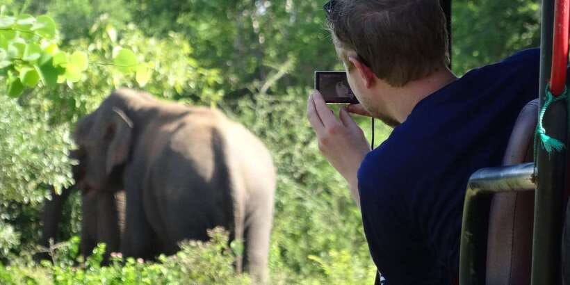 Yala National Park: All Inclusive Full-Day Safari with Lunch - Key things that make this Yala safari worth your time