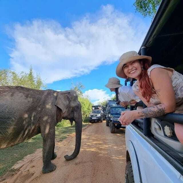 Yala National Park: All Inclusive Private Safari Day Trip - Who this Yala private safari suits best