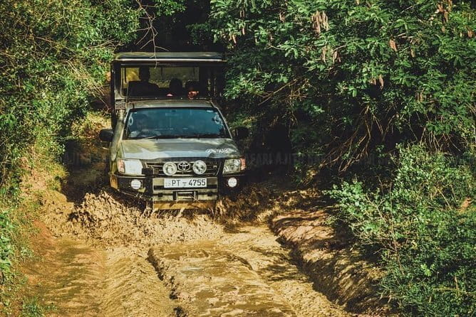 Yala National Park Guided Safaris - The 12-hour park day: how to think about the schedule