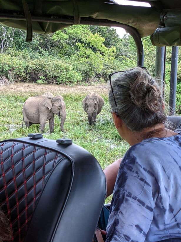Yala National Park: Half Day or Full Day Leopard Safari Tour - Why Yala National Park is a leopard safari magnet