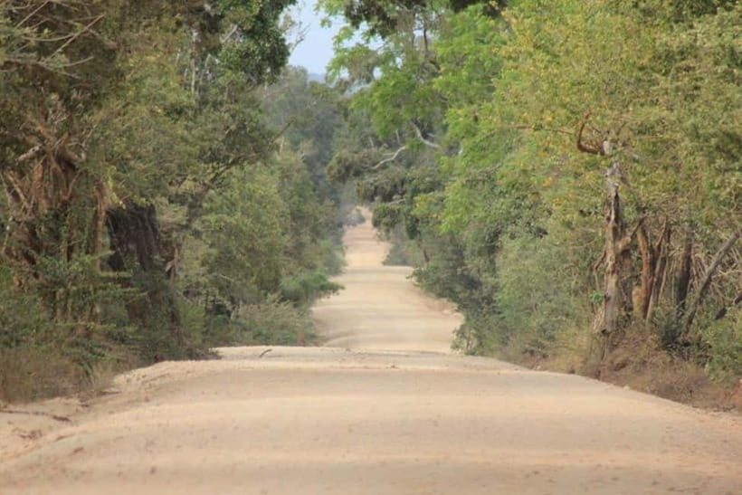 YALA National Park - HALF DAY or FULL DAY TOUR - Eco-friendly safari operations and local community support