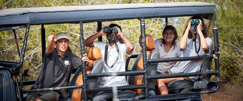 Yala National Park Jeep Safari: Leopards, Elephants & Wild - Key highlights worth planning around