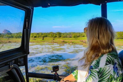 Yala National Park Leopard Safari - HALF DAY/FULL DAY TOUR - The jeep plan: how golden hours shape your chances