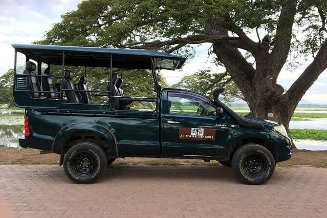 Yala National Park Morning or Afternoon Leopard Safari - Sustainability claims: what to look for and what you can control
