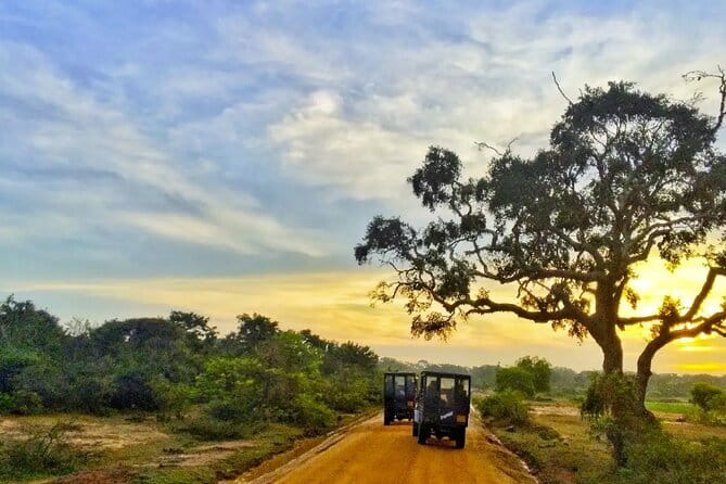 Yala National Park Private Jeep Safari From Colombo & Negombo - Key things that make this safari work