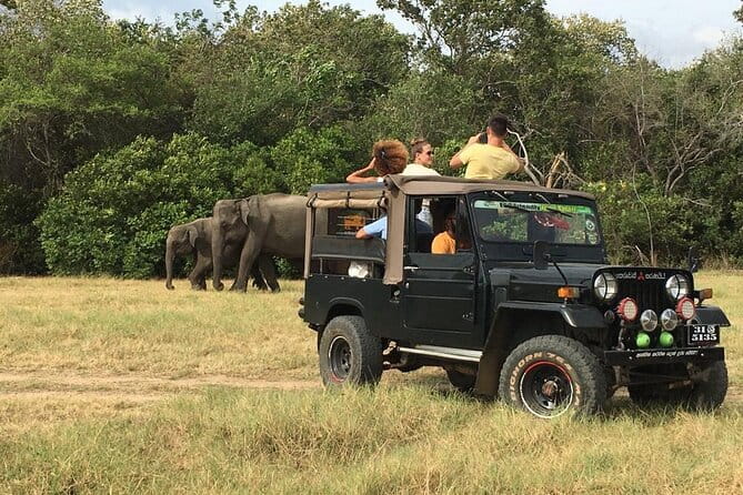 Yala National Park Private Jeep Safari From Colombo & Negombo - Open-top jeep reality: dust, sun, and how to prepare