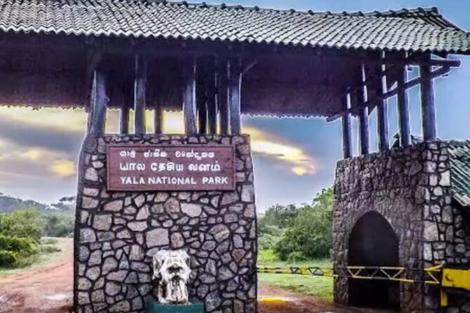Yala National Park Private Jeep Safari From Colombo & Negombo - Price and value: what $250 buys you (and what it doesn’t)