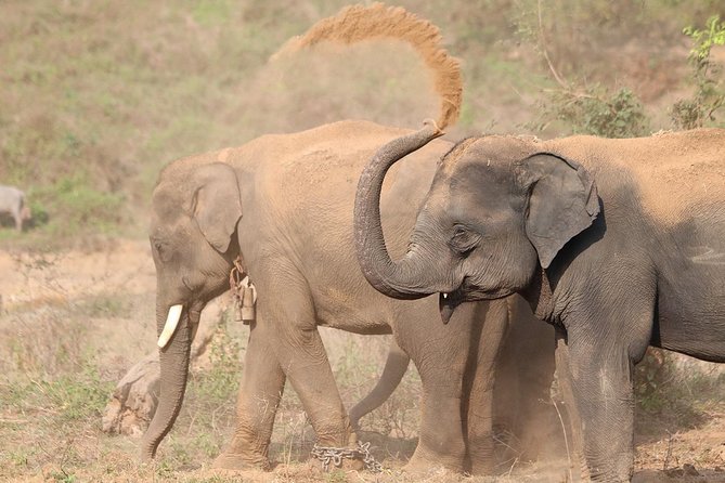 Yala National Park Private Safari (All Inclusive) From Mirissa - Key points to know before you book Yala from Mirissa