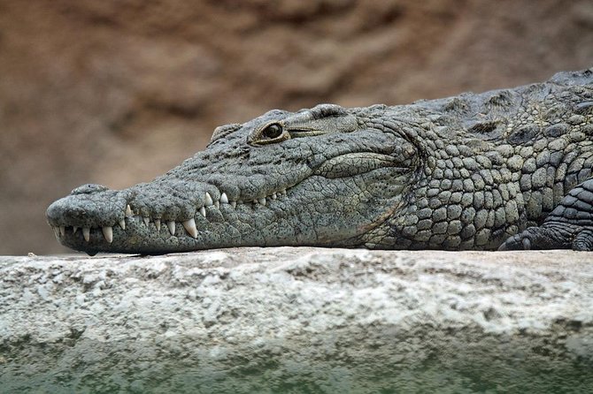 Yala National Park Private Safari (All Inclusive) From Mirissa - The 2-hour drive to the Yala entrance: what to do with it