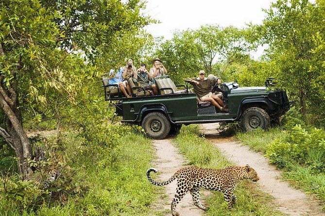 Yala National Park Private Safari (All Inclusive) From Mirissa - Return to Galle around noon: a half-day in the park, not an all-day slog