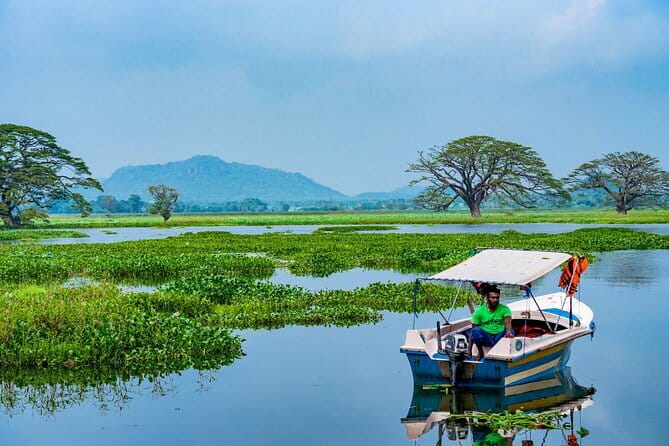Yala National Park Safari - Half day and Full day - Responsible and eco-minded guiding: what it changes on the ground