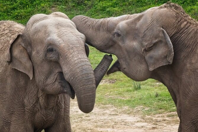 Yala National Park Safari Tours From Hambantota port - Entering Yala National Park: habitats that support more than one kind of animal