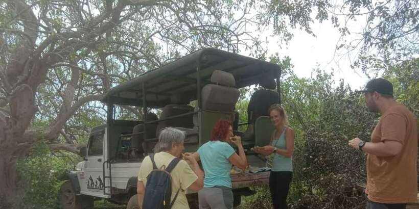 Yala National Park Sharing Safari (5 Hours) - Yala National Park safari basics: why this 5-hour format works