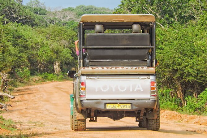 Yala National Park special Half-Day & Full-Day Safari Adventure - On the road with your driver-guide: how spotting actually happens