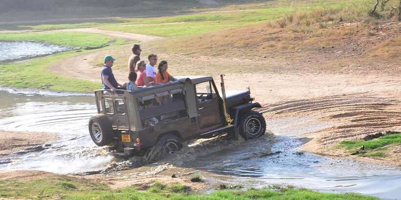 Yala Private Safari - Half Day or Full Day with Picnic Lunch - Private Yala safari basics: times, pickup zones, and what you pay