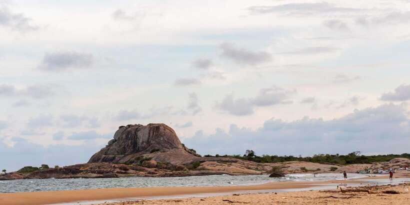 Yala Safari All-Inclusive Package with Convenient Pick Up - Driver-guide and real-day communication: keep your expectations grounded
