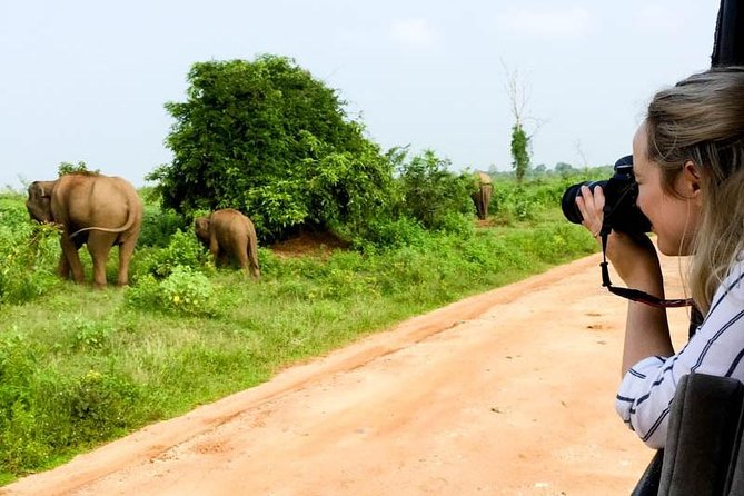 Yala Safari Day Trip from Bentota/ Kalutara/ Ahungalla/ Hikkaduwa - What’s included: lunch, bottled water, and the stuff that prevents stress