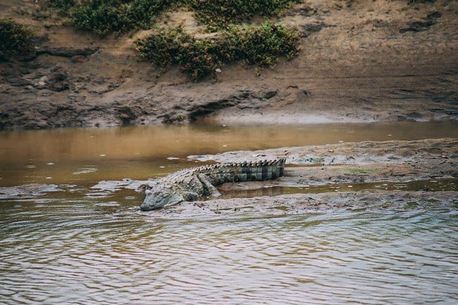 Yala Safari Day Trip from Ella/ Tangalle/ Dikwella/ Hambantota - Price and Value: Is $170 Actually Fair?