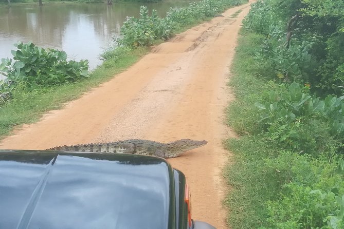 Yala Safari Jeep tour with Abraham Travel - Transfers in Tissamaharama: how meeting and pickup really work