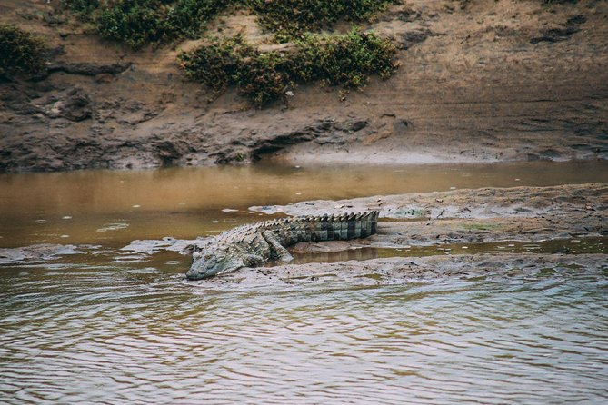 Yala Safari Private Day Trip with Return Transport -All Inclusive - Price and value: is $140 per person a fair deal?