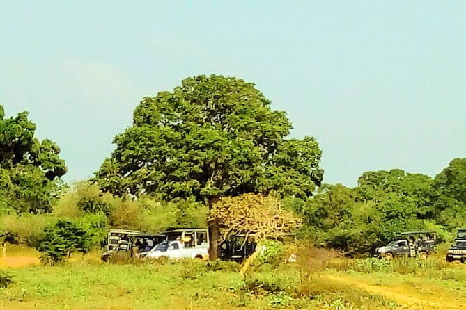 YALA SAFARI TOUR from Galle/Mirissa/Matara/Tangalle/Ella & More.. - Why the included breakfast and bottled water are worth it