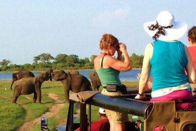 Yala Safari Tour from Hambantota Port (Shore Excursion) - Inside Yala National Park: big game and birdlife on a short hunt