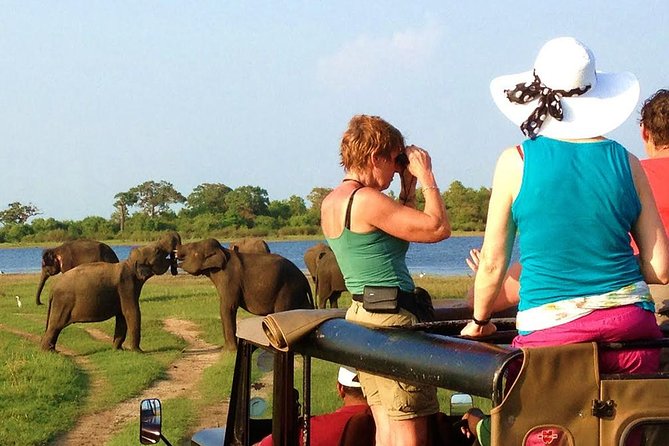 Yala Safari Tour from Hambantota Port (Shore Excursion) - Inside Yala National Park: big game and birdlife on a short hunt